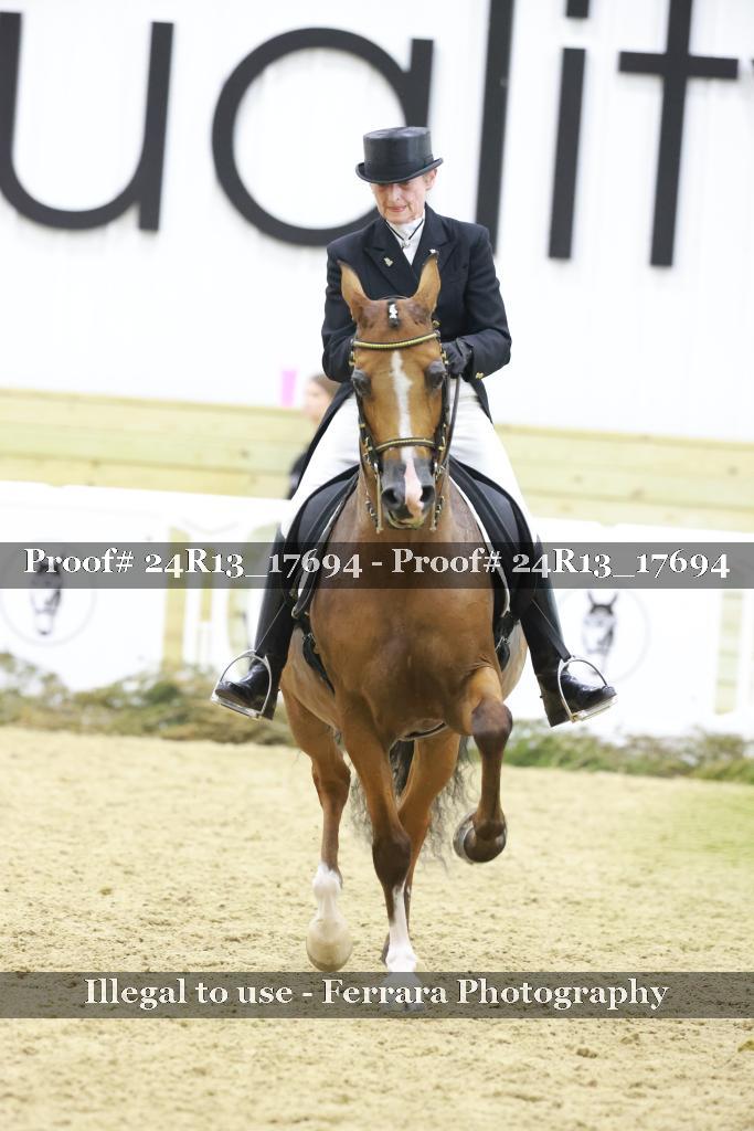 Proof Number 24R13_17694
