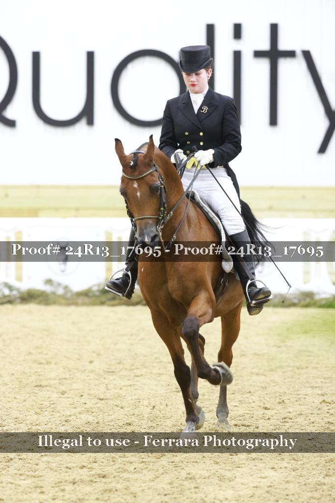 Proof Number 24R13_17695