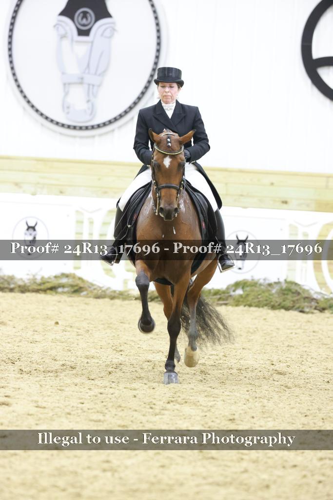 Proof Number 24R13_17696