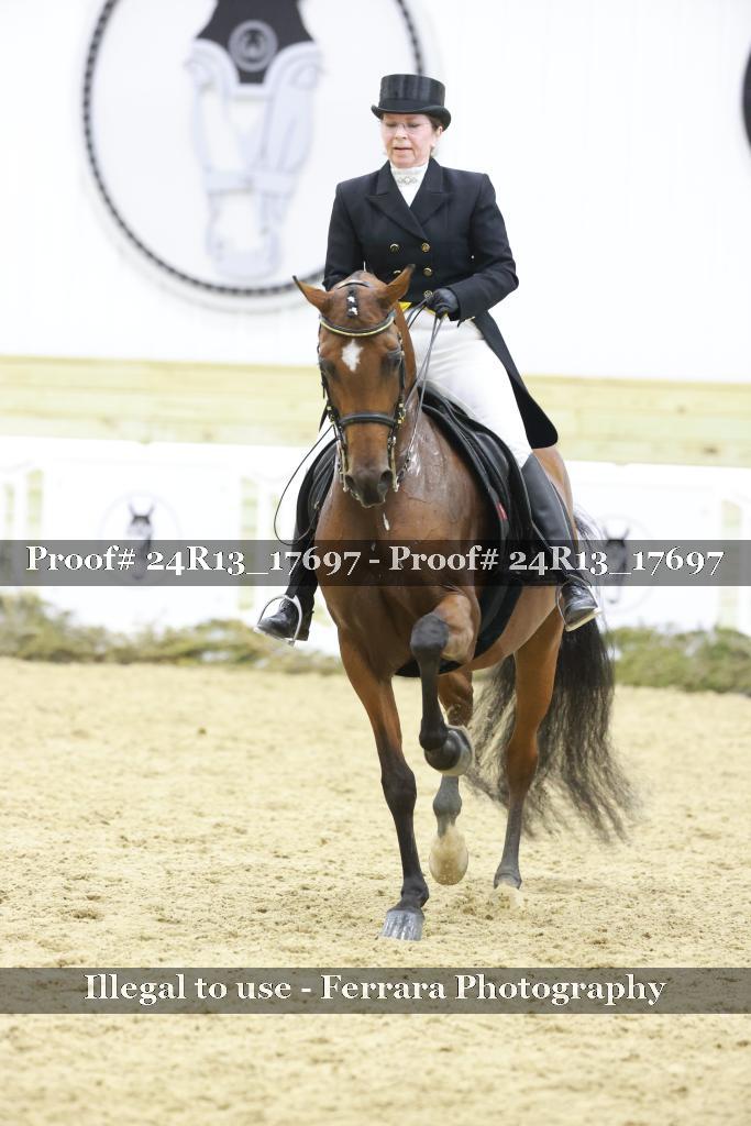 Proof Number 24R13_17697