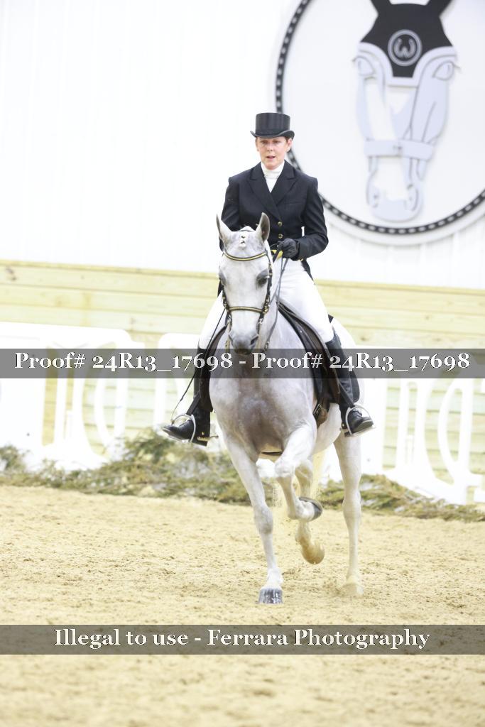 Proof Number 24R13_17698