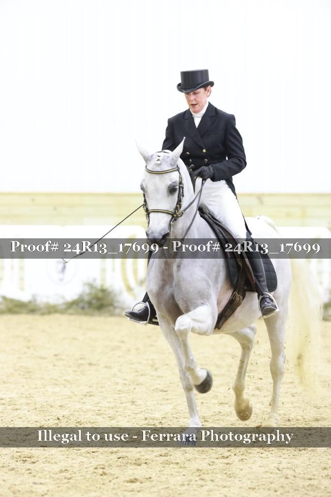 Proof Number 24R13_17699