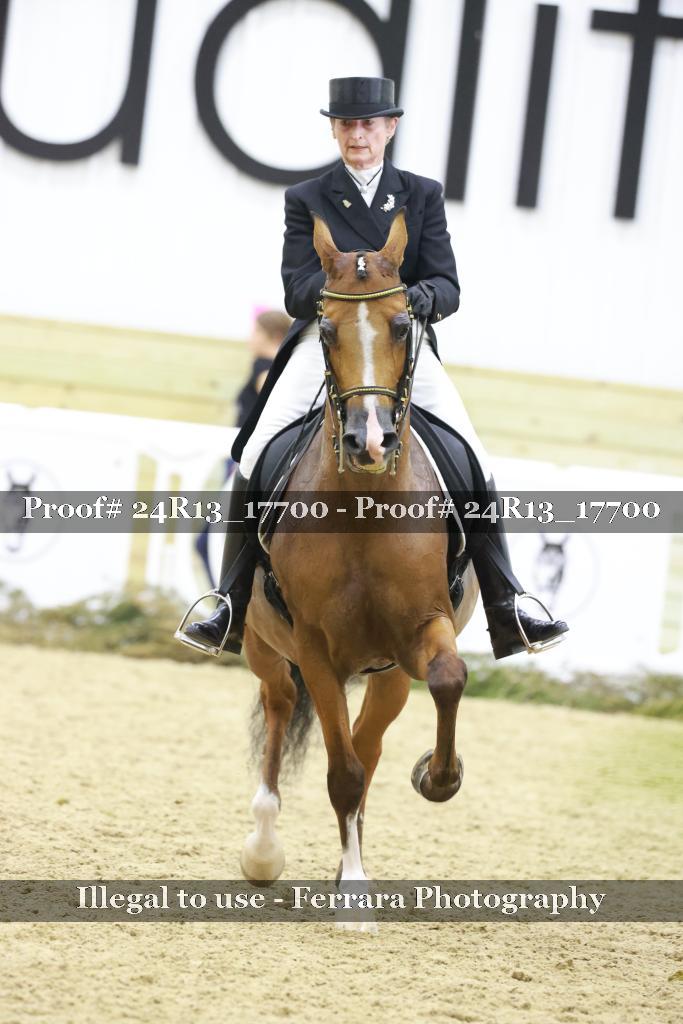 Proof Number 24R13_17700