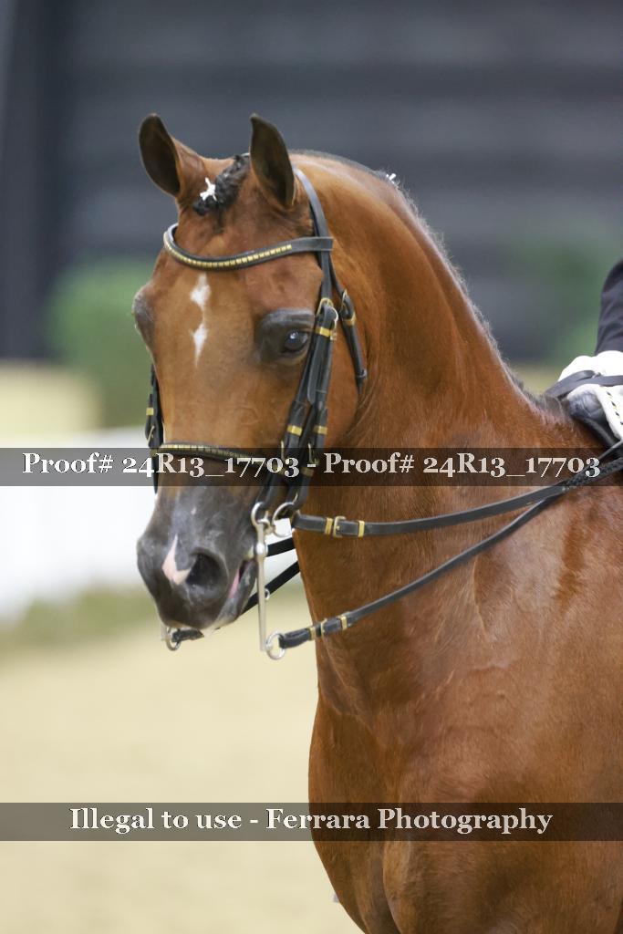 Proof Number 24R13_17703
