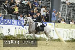24R13_17727 thumbnail