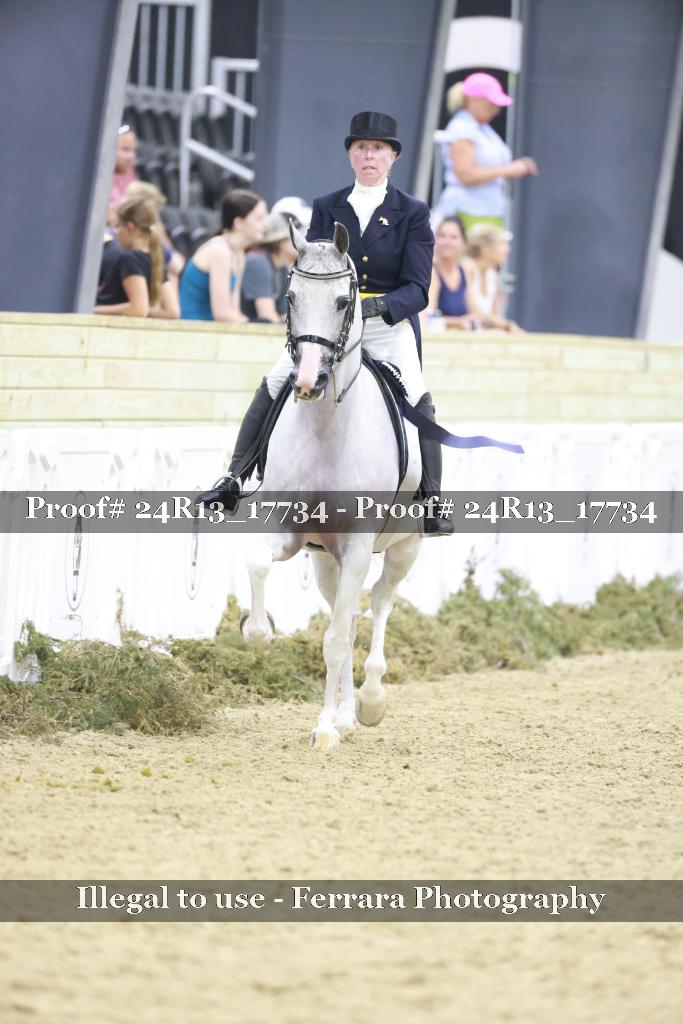 Proof Number 24R13_17734