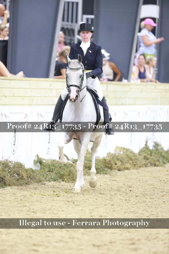 Proof Number 24R13_17735