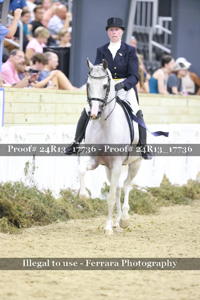 Proof Number 24R13_17736