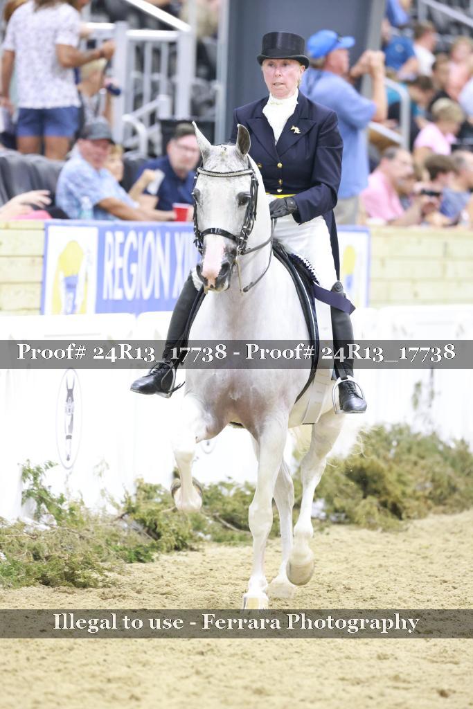 Proof Number 24R13_17738