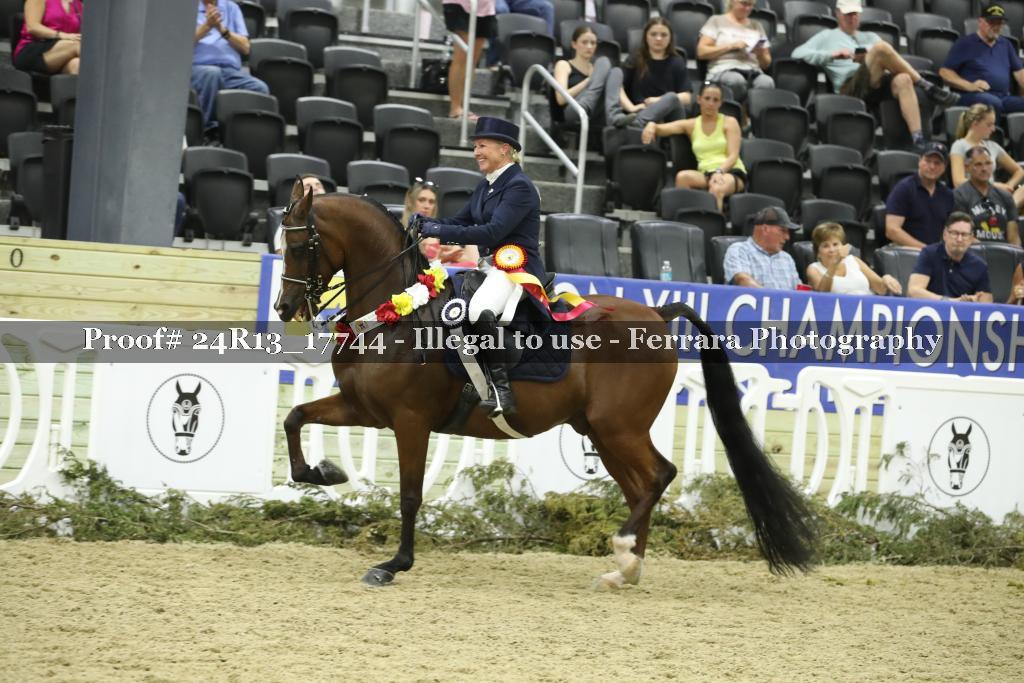Proof Number 24R13_17744