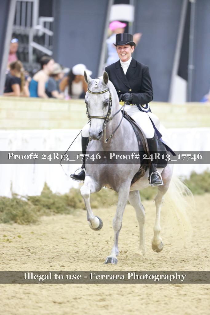 Proof Number 24R13_17746