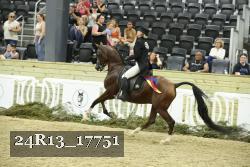 24R13_17751 thumbnail