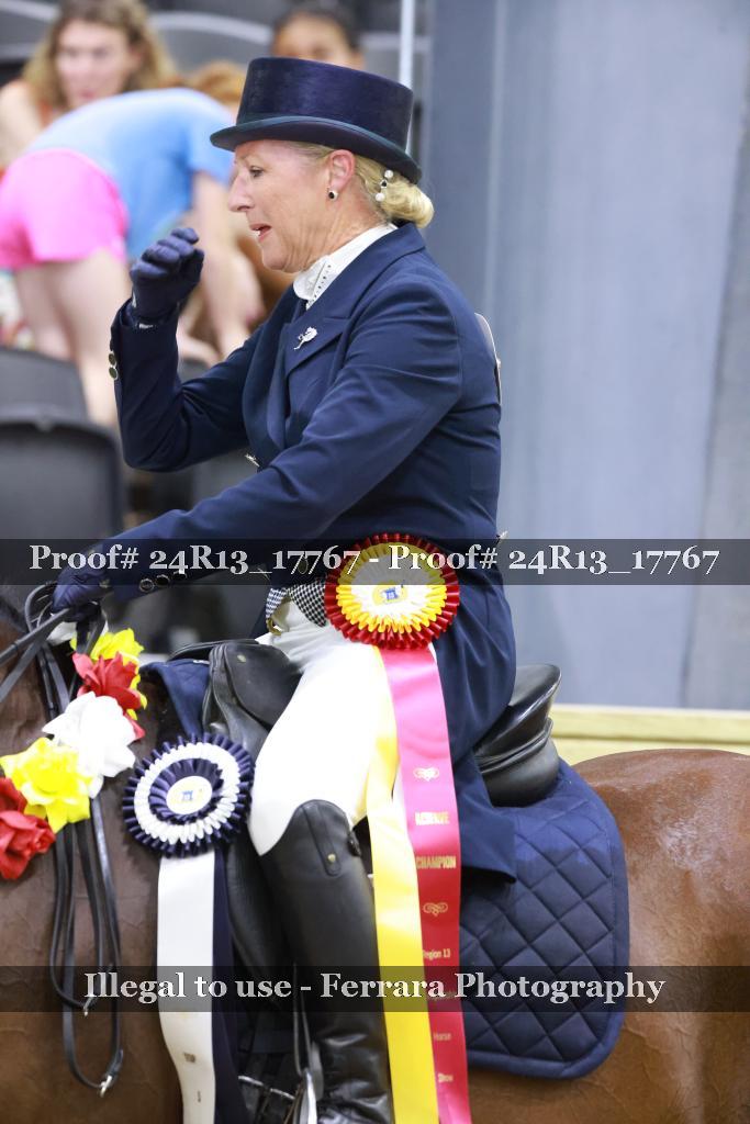 Proof Number 24R13_17767