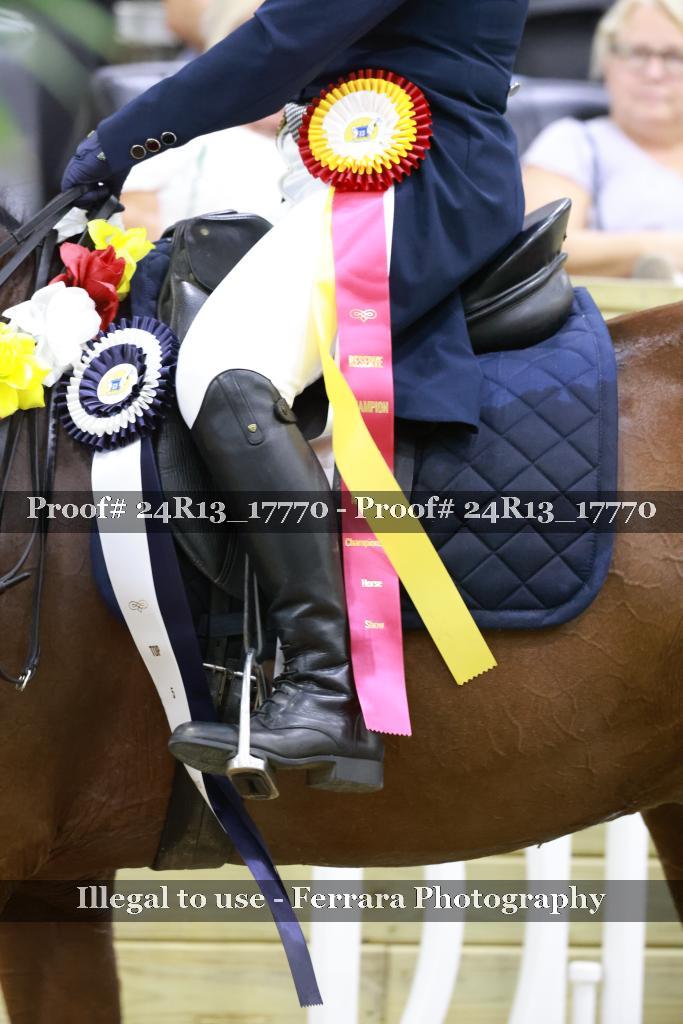 Proof Number 24R13_17770