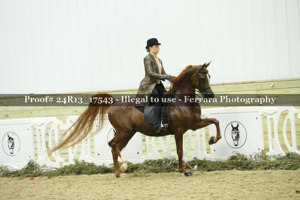 Proof Number 24R13_17543