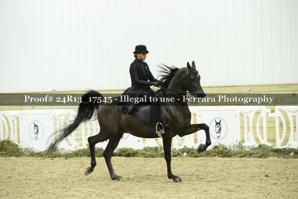 Proof Number 24R13_17545