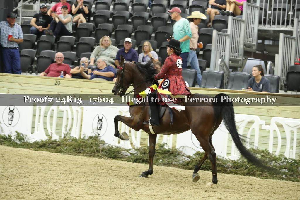Proof Number 24R13_17604