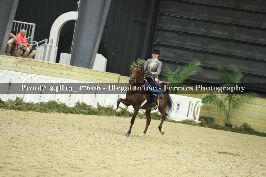 Proof Number 24R13_17606