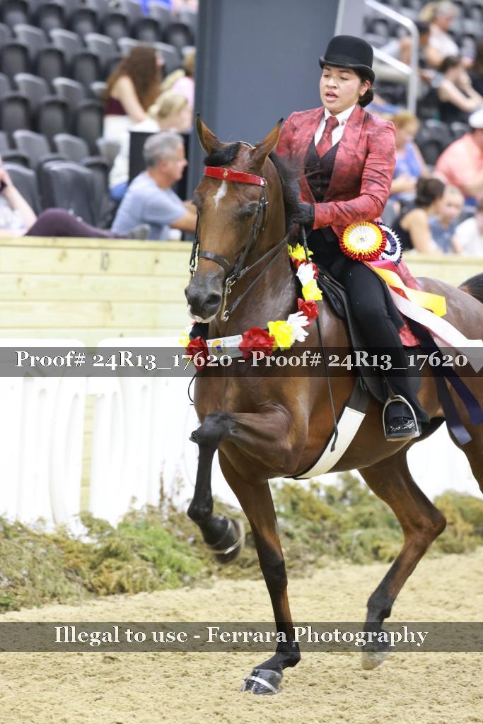 Proof Number 24R13_17620
