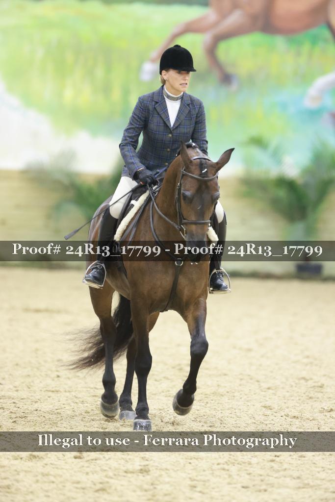 Proof Number 24R13_17799