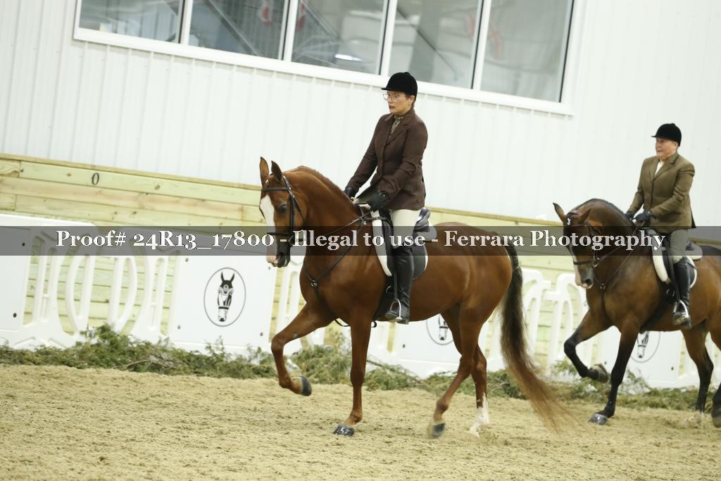 Proof Number 24R13_17800