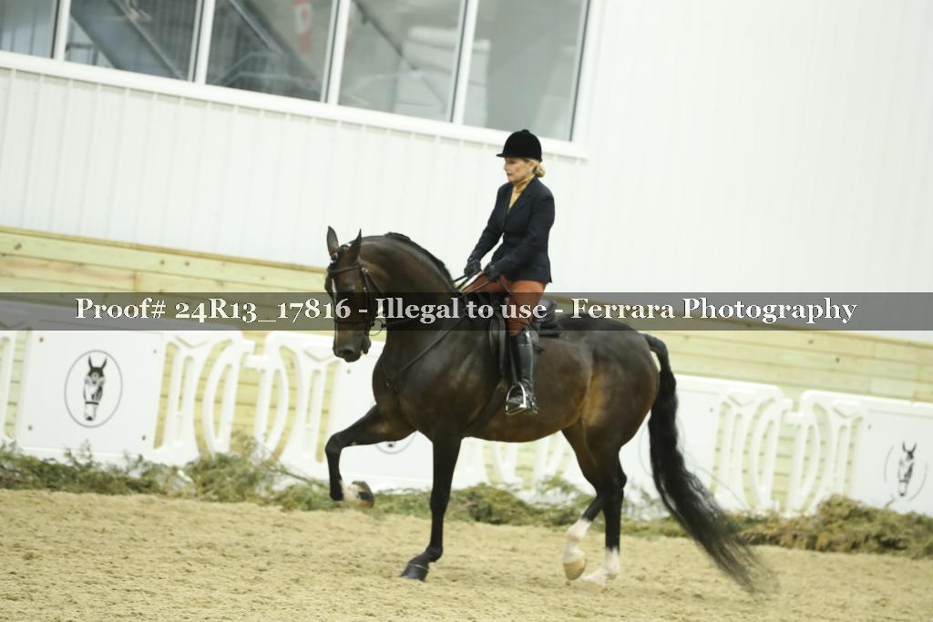 Proof Number 24R13_17816