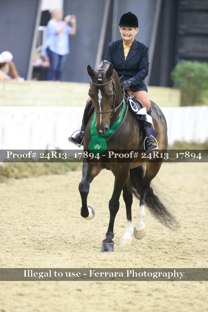 Proof Number 24R13_17894