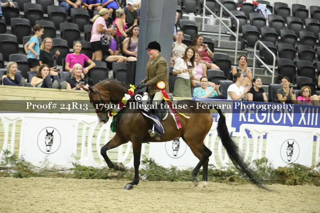 Proof Number 24R13_17901