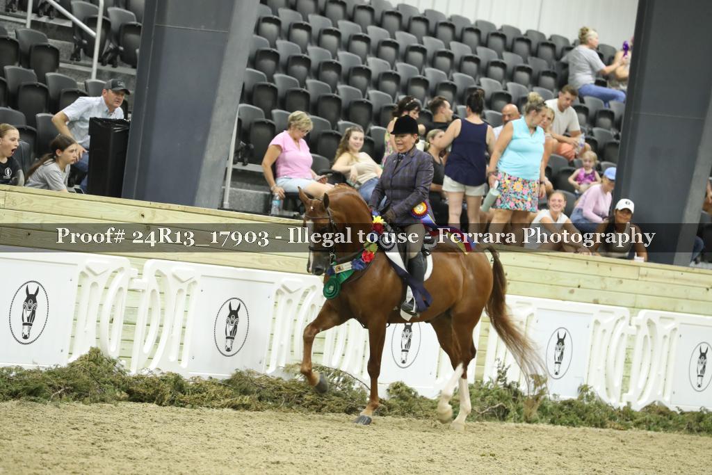 Proof Number 24R13_17903