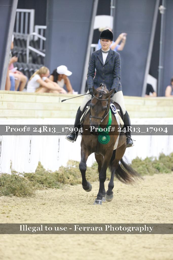 Proof Number 24R13_17904