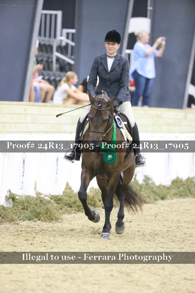 Proof Number 24R13_17905