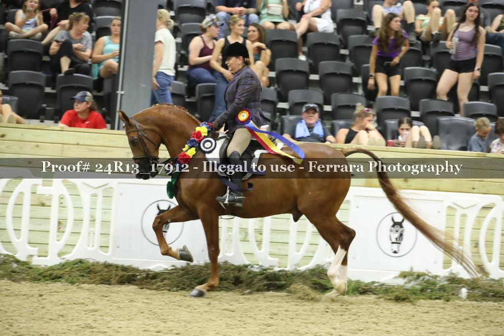 Proof Number 24R13_17912