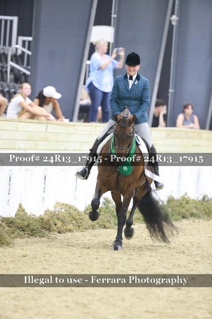 Proof Number 24R13_17915