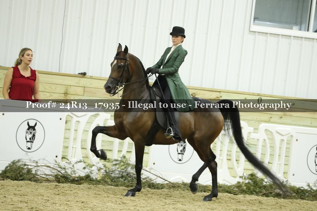 Proof Number 24R13_17935