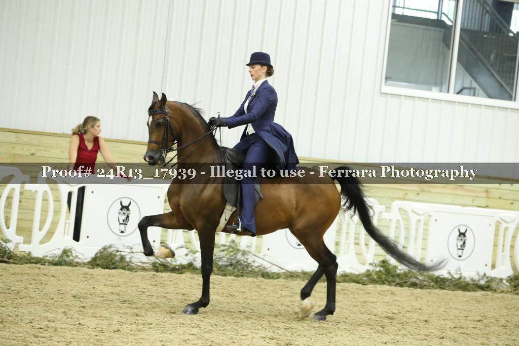 Proof Number 24R13_17939