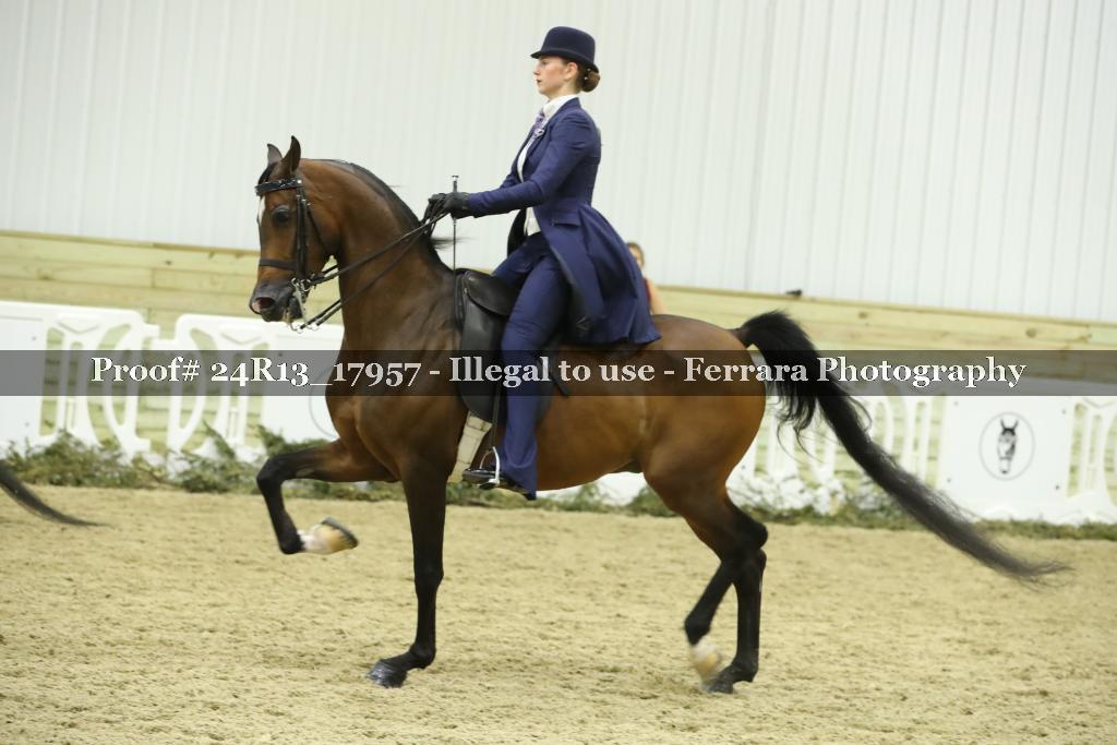 Proof Number 24R13_17957