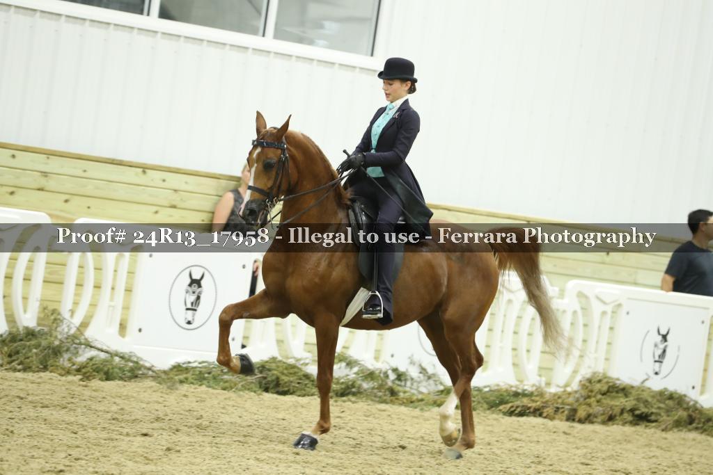 Proof Number 24R13_17958