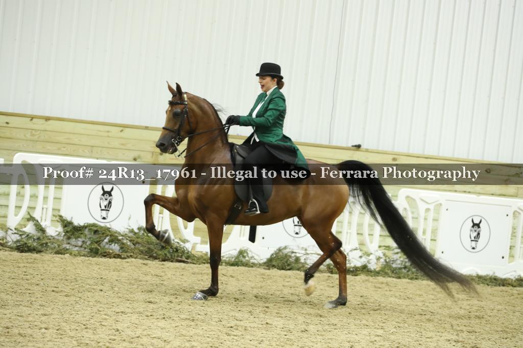 Proof Number 24R13_17961