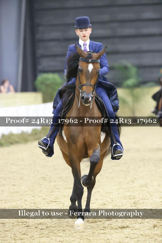 Proof Number 24R13_17962