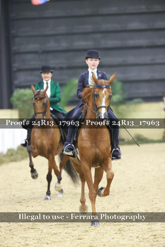 Proof Number 24R13_17963