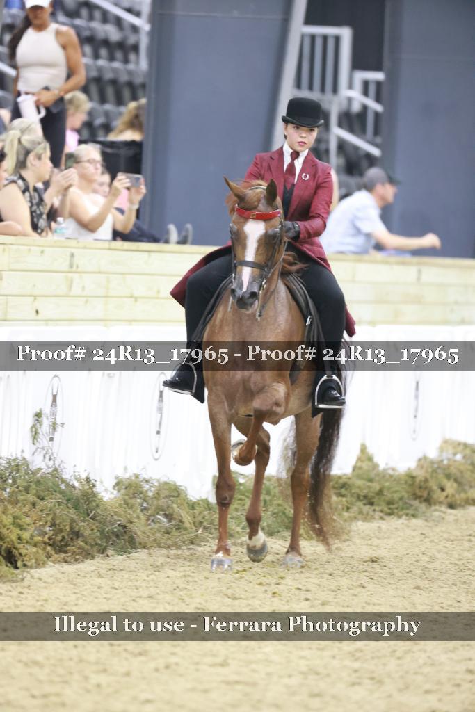 Proof Number 24R13_17965