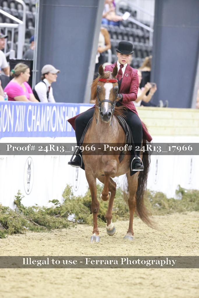 Proof Number 24R13_17966