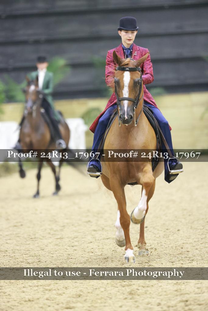 Proof Number 24R13_17967