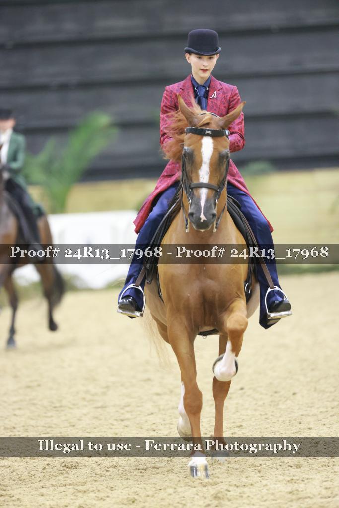 Proof Number 24R13_17968