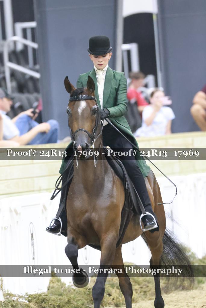 Proof Number 24R13_17969