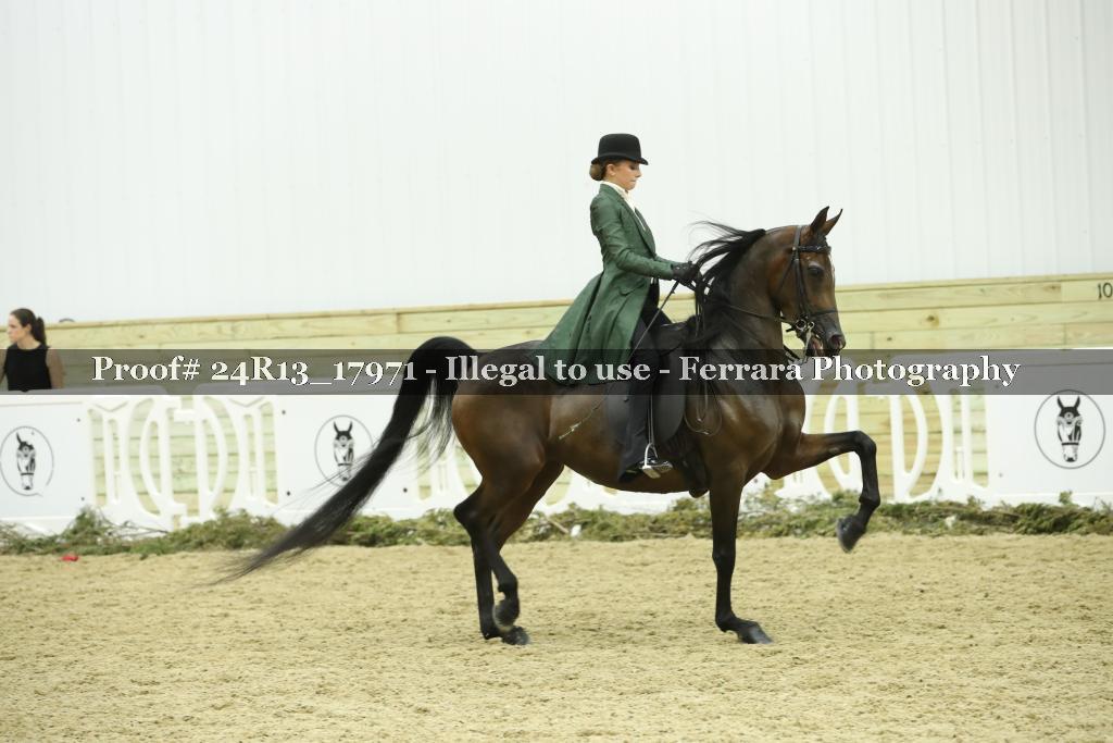 Proof Number 24R13_17971