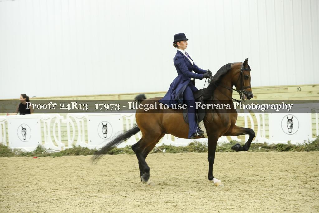 Proof Number 24R13_17973