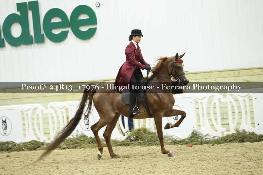 Proof Number 24R13_17976