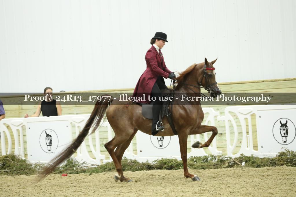 Proof Number 24R13_17977