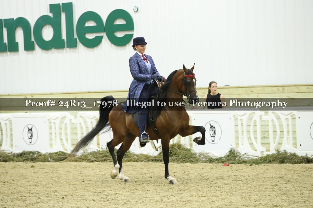 Proof Number 24R13_17978